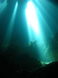 Taken in Devil's Den, Florida..a natural spring inside a ... by Matthew Washburn 